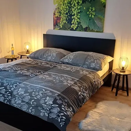 Vinarstvi U Sv. Krize بيت ضيافة
