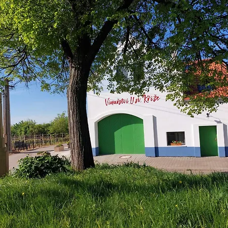 Vinarstvi U Sv. Krize