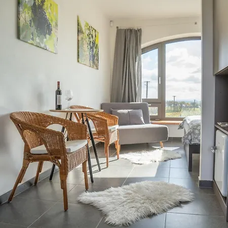 Vinarstvi U Sv. Krize بيت ضيافة *