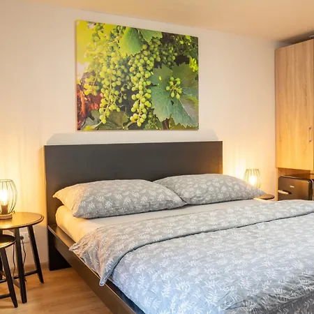 Vinarstvi U Sv. Krize بيت ضيافة