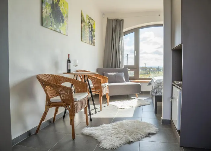 Vinarstvi U Sv. Krize Gasthof 3*